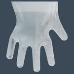 Disposable PE Gloves Single Box 100 Pieces / Box