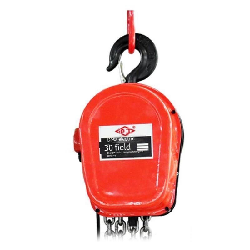 Ring Chain Electric Hoist Dhs2t*9m Manganese Steel