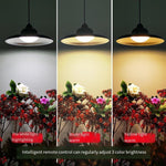 Solar Lamp Outdoor Courtyard Chandelier Household Lighting Villa Balcony Garden Pavilion Grape Trellis Super Bright Waterproof LED Projection Bulb